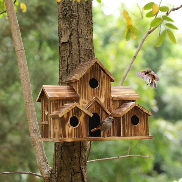 Wooden bird house with six entry holes for the garden