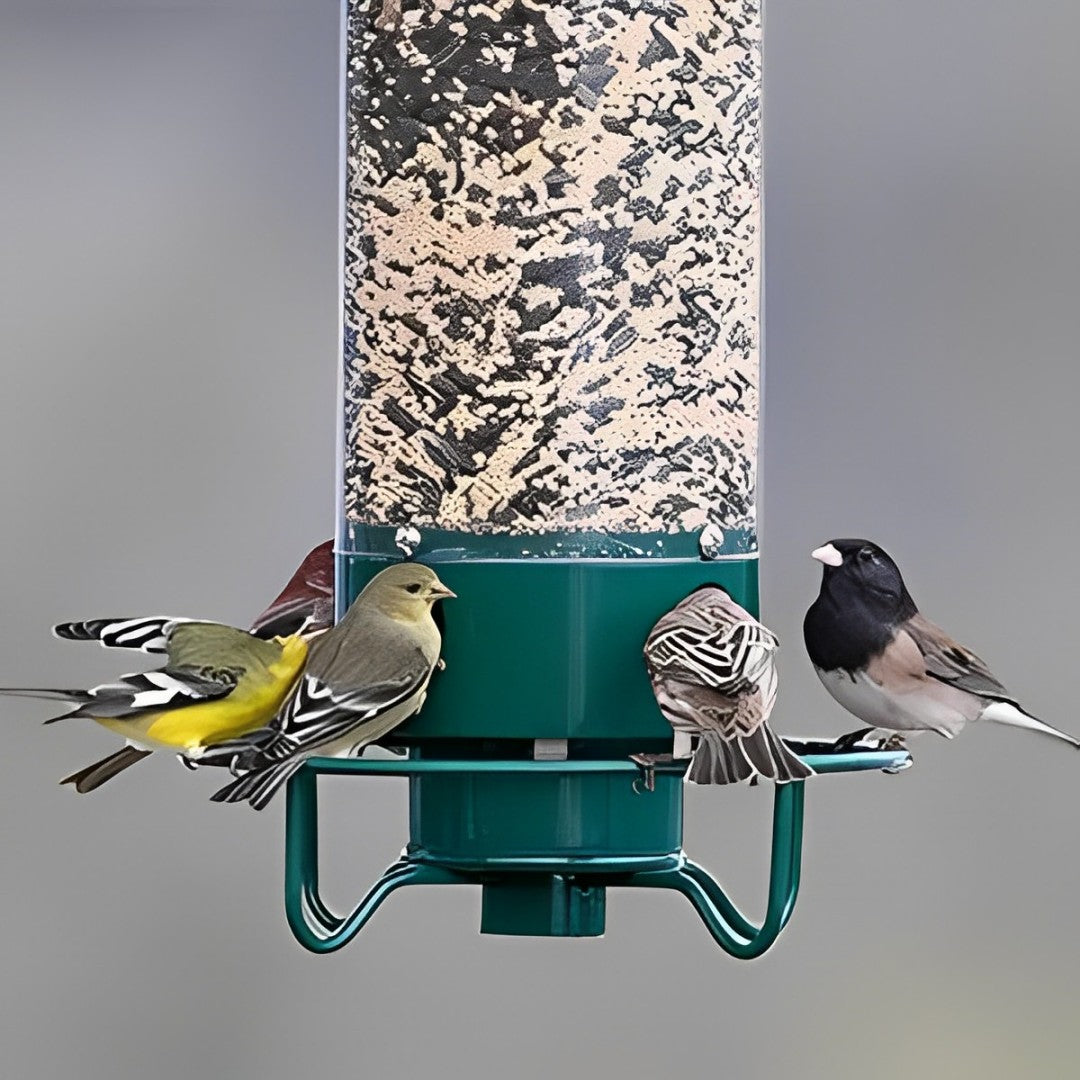 Hanging Bird Feeder – Wild Bird Seed Feeder for Outdoor Garden