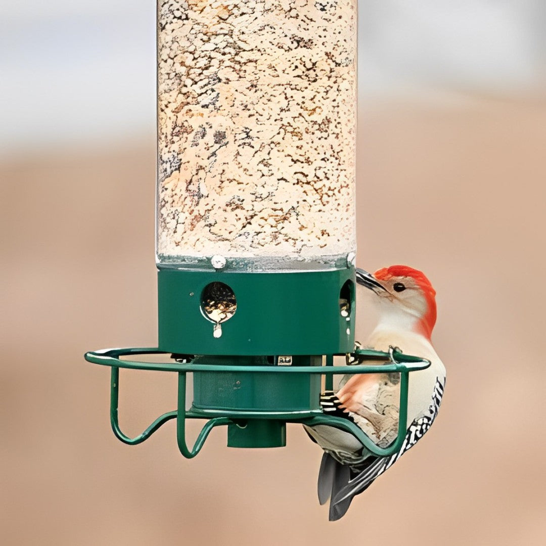 Hanging Bird Feeder – Wild Bird Seed Feeder for Outdoor Garden