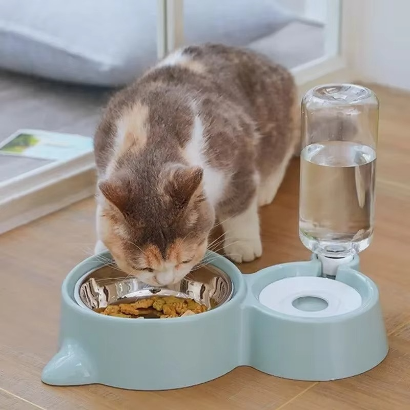 Automatic Pet Feeder & Water Dispenser
