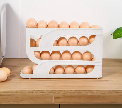 Automatic Egg Dispenser with Rolling System
